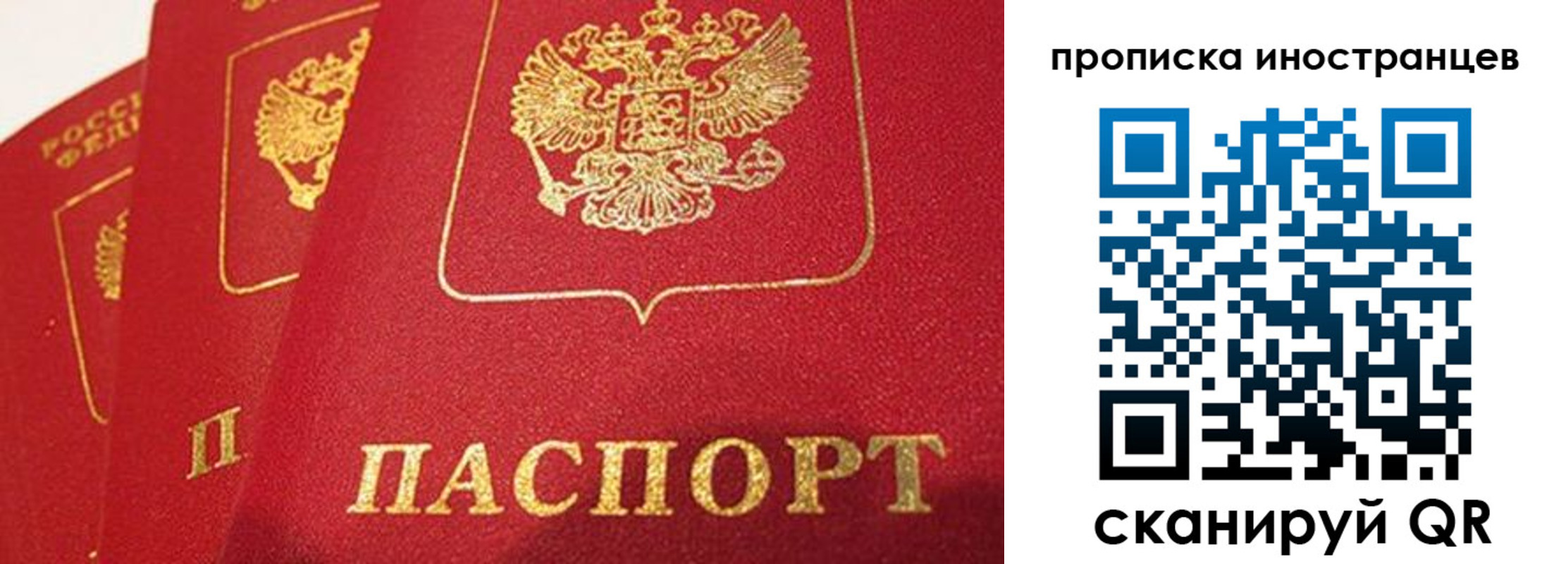 прописка для школы в Шебекино
